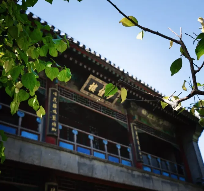 图片描述